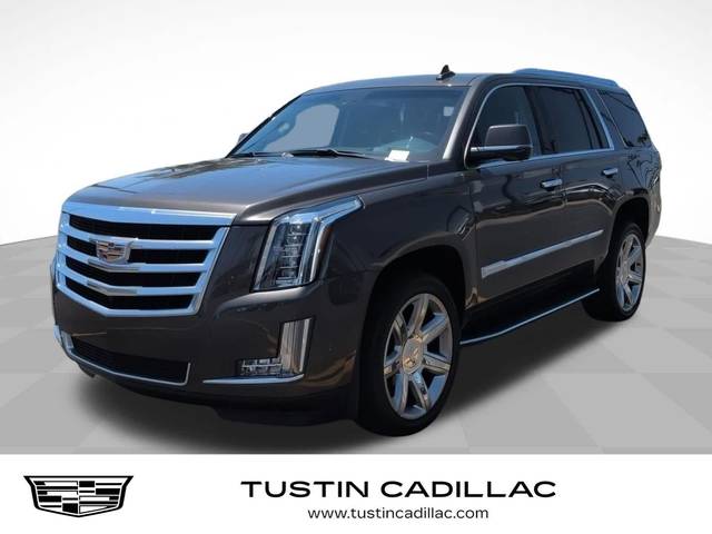 2020 Cadillac Escalade Luxury RWD photo