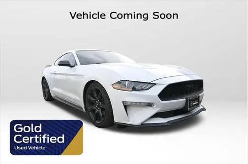 2020 Ford Mustang EcoBoost RWD photo