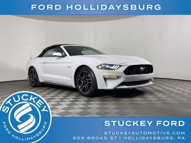 2019 Ford Mustang GT Premium RWD photo