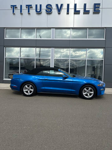 2019 Ford Mustang EcoBoost RWD photo