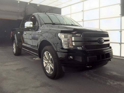 2020 Ford F-150 Platinum 4WD photo