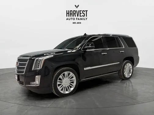 2020 Cadillac Escalade Platinum 4WD photo
