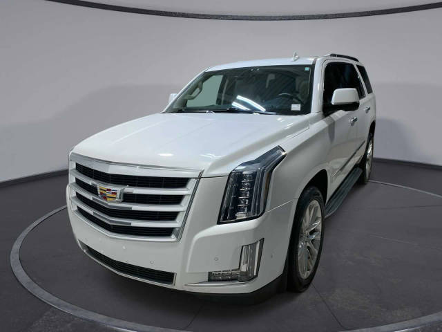 2020 Cadillac Escalade Luxury 4WD photo