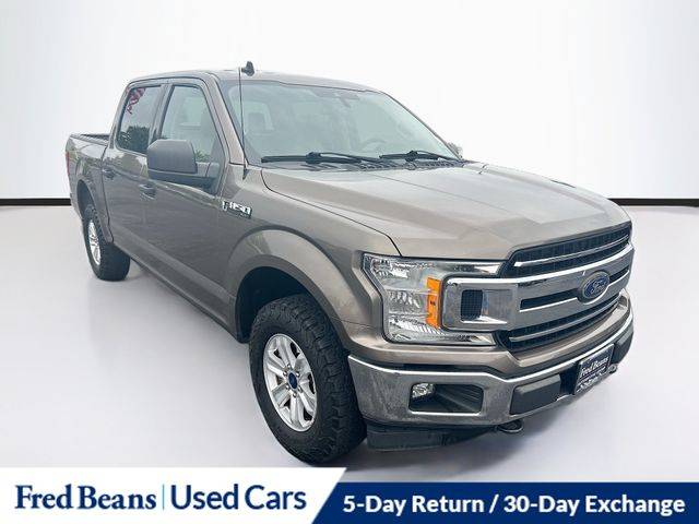 2020 Ford F-150 XLT 4WD photo