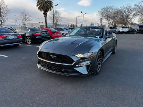 2019 Ford Mustang EcoBoost Premium RWD photo