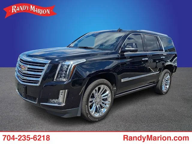 2020 Cadillac Escalade Platinum 4WD photo