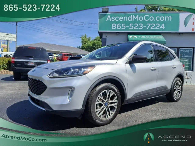 2020 Ford Escape SEL AWD photo