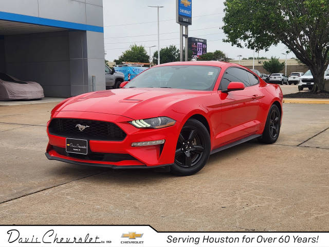 2019 Ford Mustang EcoBoost RWD photo