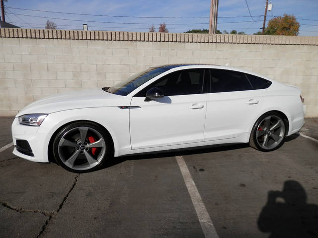 2019 Audi S5 Sportback Premium Plus AWD photo