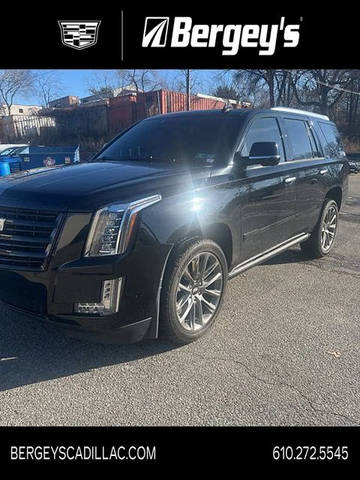 2020 Cadillac Escalade Platinum 4WD photo
