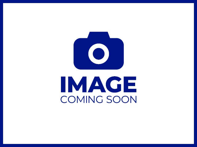 2020 Dodge Grand Caravan SE Plus FWD photo