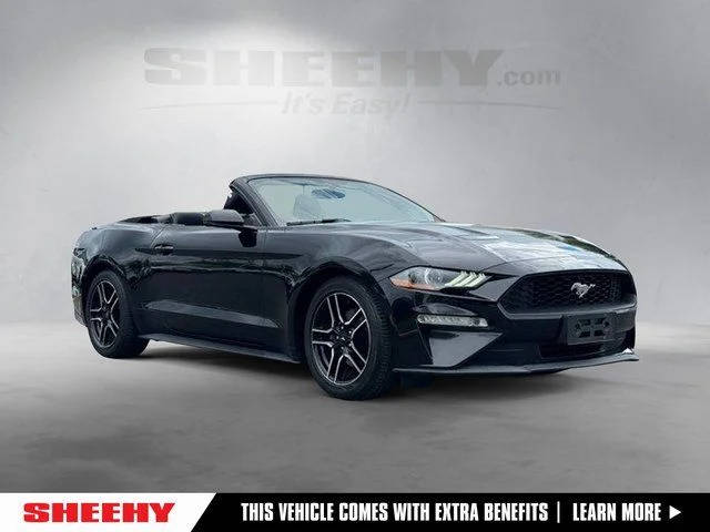 2019 Ford Mustang EcoBoost RWD photo
