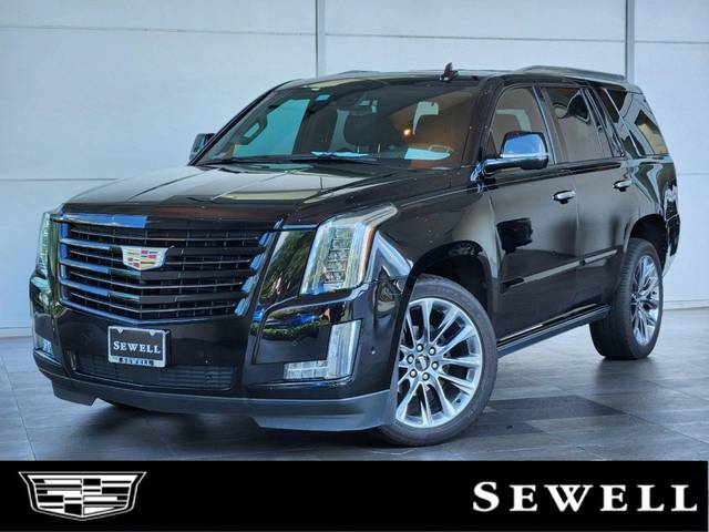 2020 Cadillac Escalade Platinum 4WD photo