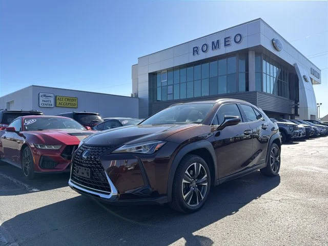 2020 Lexus UX UX 250h AWD photo