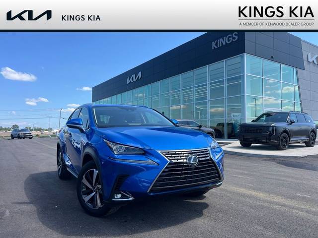 2020 Lexus NX NX 300 AWD photo