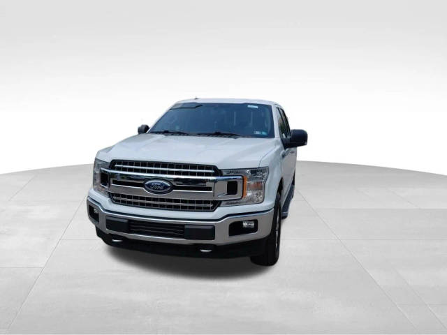 2019 Ford F-150 XLT 4WD photo