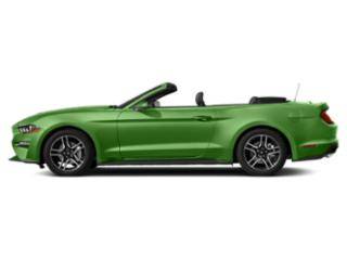 2020 Ford Mustang EcoBoost RWD photo