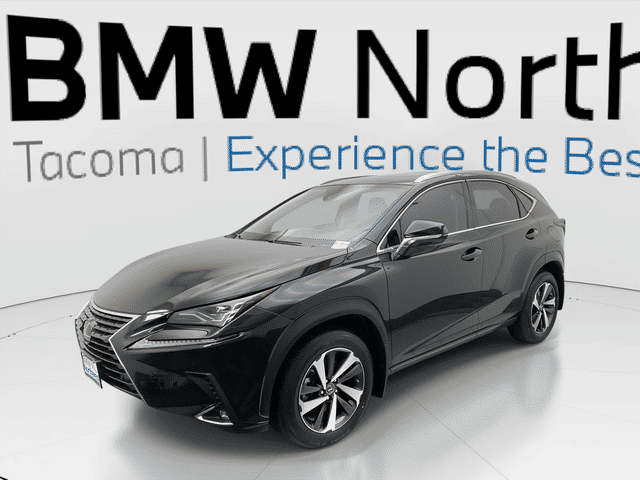 2020 Lexus NX NX 300 Luxury AWD photo