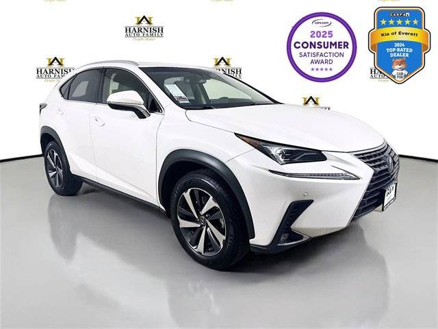 2020 Lexus NX NX 300 Luxury AWD photo