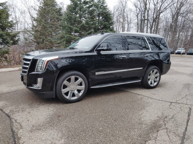 2020 Cadillac Escalade Luxury 4WD photo