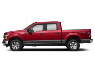 2019 Ford F-150 XLT 4WD photo