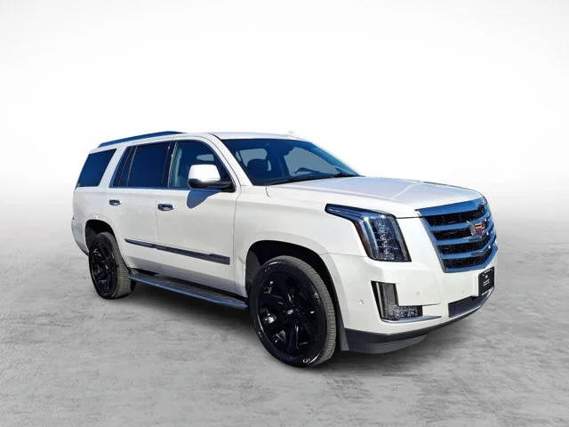 2020 Cadillac Escalade Luxury 4WD photo