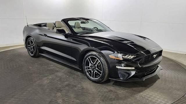 2019 Ford Mustang EcoBoost Premium RWD photo