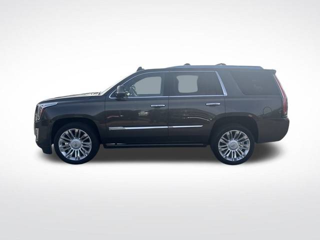 2020 Cadillac Escalade Platinum 4WD photo