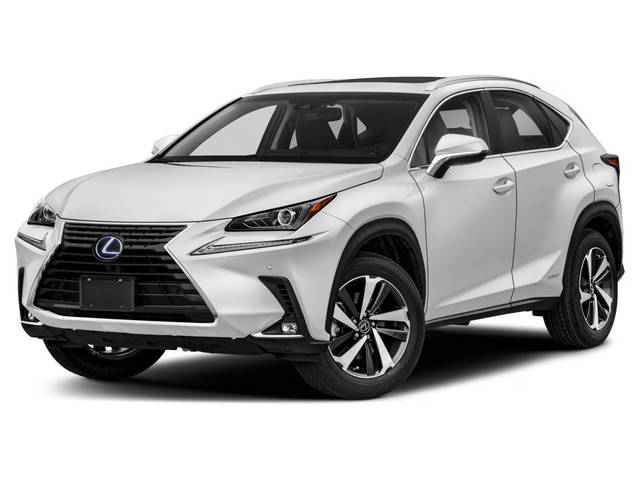 2020 Lexus NX NX 300h AWD photo