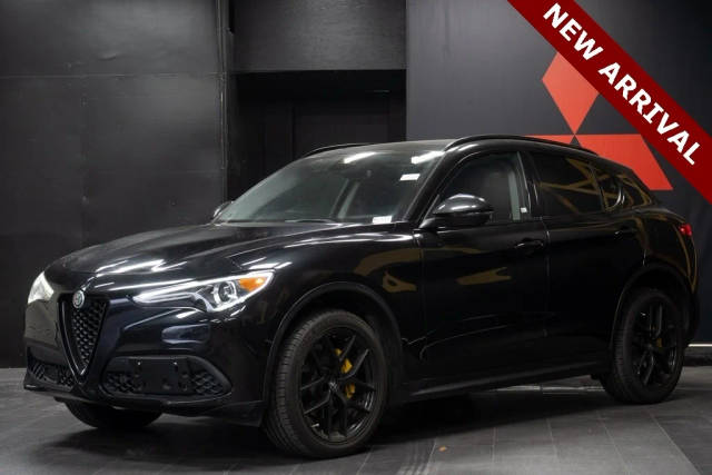 2020 Alfa Romeo Stelvio  RWD photo