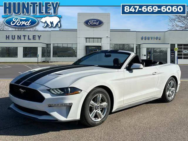 2019 Ford Mustang EcoBoost RWD photo