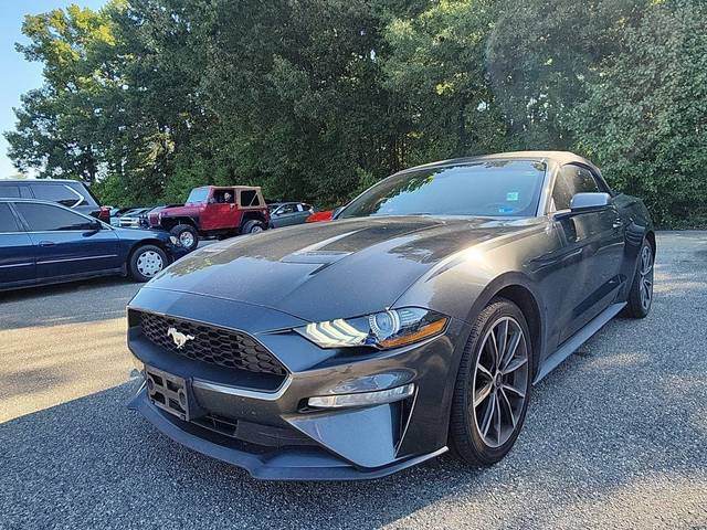 2019 Ford Mustang EcoBoost Premium RWD photo