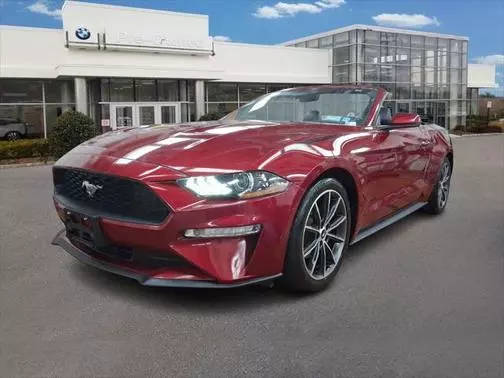 2019 Ford Mustang EcoBoost Premium RWD photo