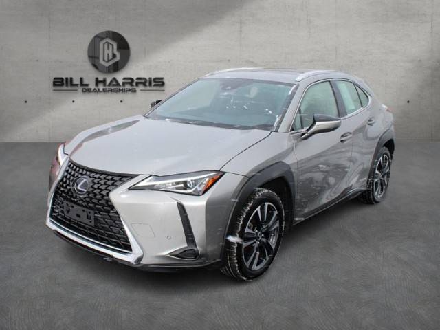 2020 Lexus UX UX 250h AWD photo