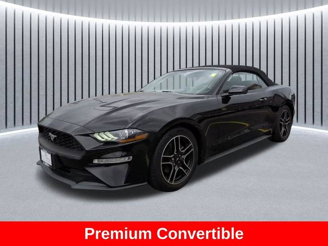 2019 Ford Mustang EcoBoost Premium RWD photo