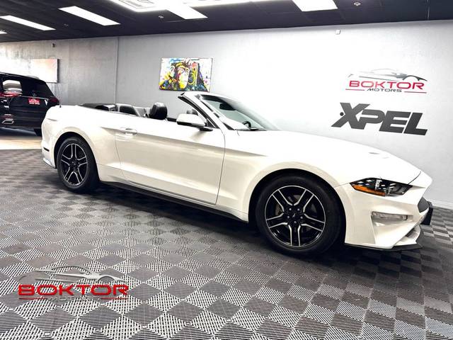 2019 Ford Mustang EcoBoost RWD photo