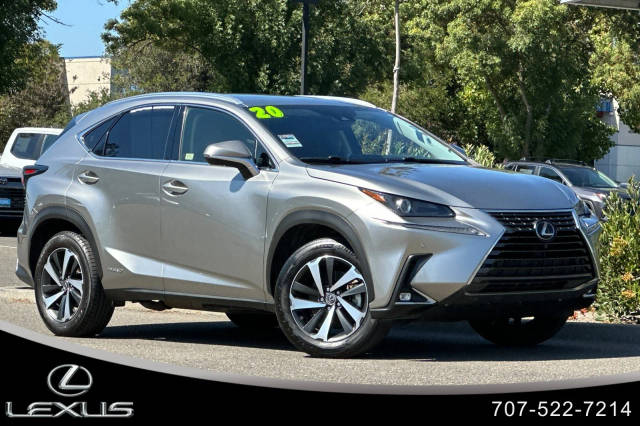 2020 Lexus NX NX 300h AWD photo