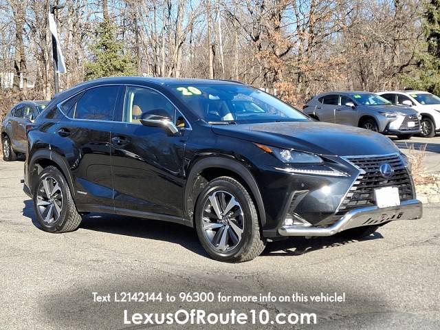 2020 Lexus NX NX 300h AWD photo