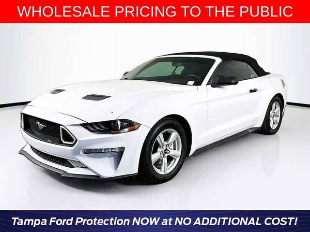 2019 Ford Mustang EcoBoost RWD photo