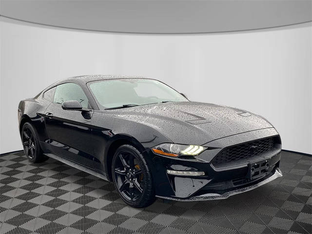 2020 Ford Mustang EcoBoost RWD photo