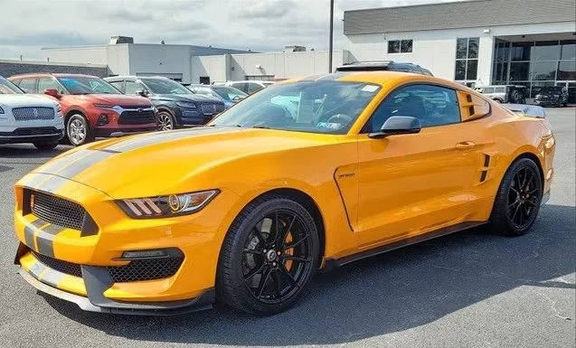 2019 Ford Mustang Shelby GT350 RWD photo