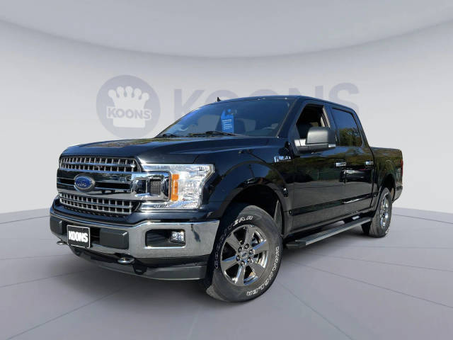 2020 Ford F-150 XLT 4WD photo