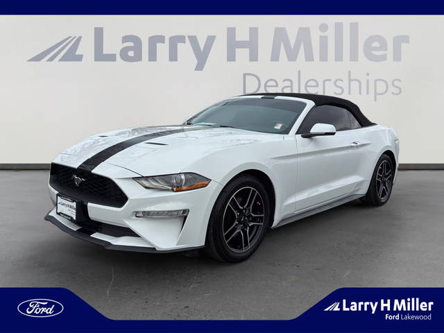 2019 Ford Mustang EcoBoost Premium RWD photo