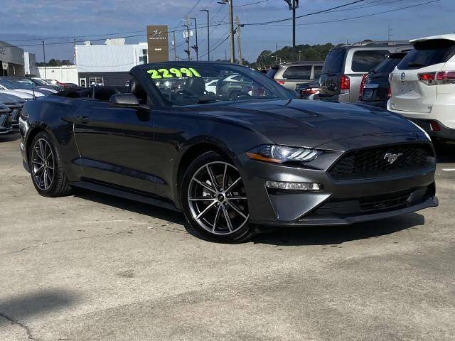 2019 Ford Mustang EcoBoost Premium RWD photo