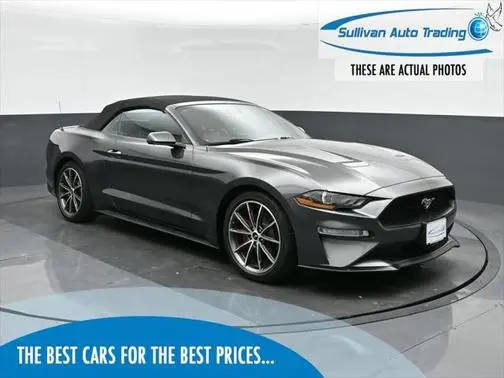 2019 Ford Mustang EcoBoost Premium RWD photo