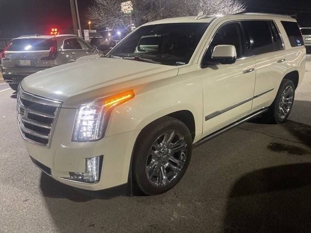 2015 Cadillac Escalade Premium 4WD photo