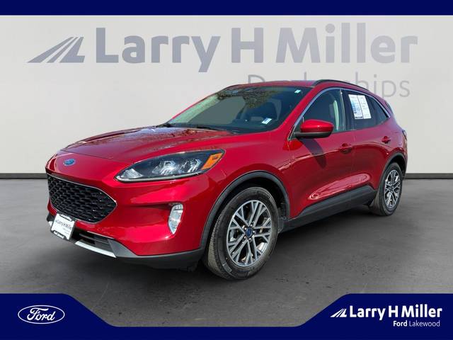 2020 Ford Escape SEL FWD photo