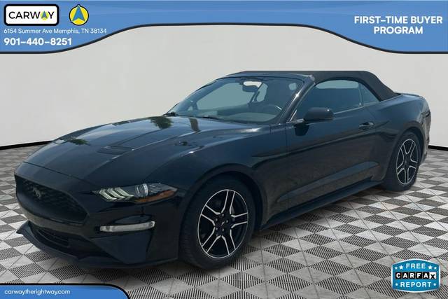 2019 Ford Mustang EcoBoost Premium RWD photo