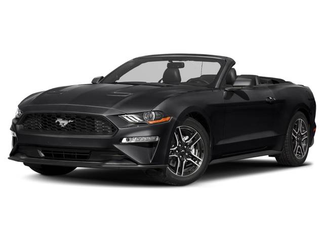 2019 Ford Mustang EcoBoost Premium RWD photo