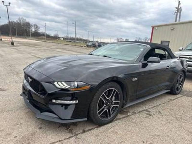 2019 Ford Mustang GT Premium RWD photo